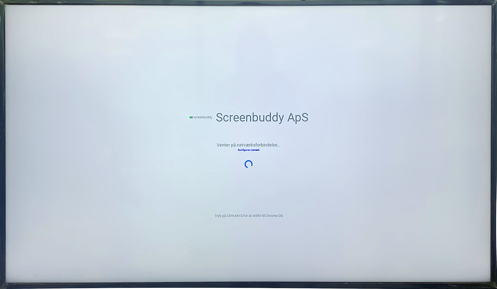 Loading screen of Screenbuddy ApS on a digital display, waiting for network connection.